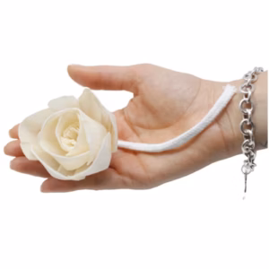 Diffuseurs Naturels Fleurs - Gd Rose Corde