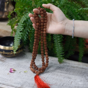 Mala Rudraksha 108 Perles - Marron