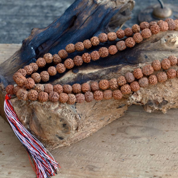 108 Rudraksha Mala - Naturlig - Bilde 4