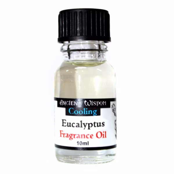 Eukalyptus Duftolje 10ml - Bilde 2