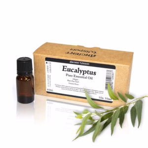 Eukalyptus Eterisk Olja Utan Etikett - 10ml - 10mlx10pcs