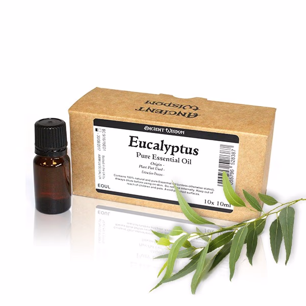 10x  10ml Eucalyptus Essential Oil  Unlabelled 10ml x 10pcs