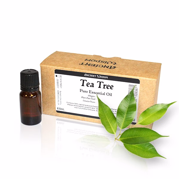 10x  10ml Tea Tree Essential Oil  Unlabelled 10ml x 10pcs