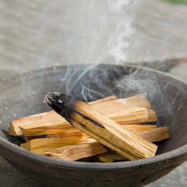 50g-Green-Tree-Palo-Santo-Sticks-5-8-sticks