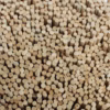 5kg of 2.5mm Reed Diffusers (approx 5000) - Image 2