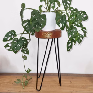 Albasia Wood Plant Stand - Terrakotta og Sorte Detaljer