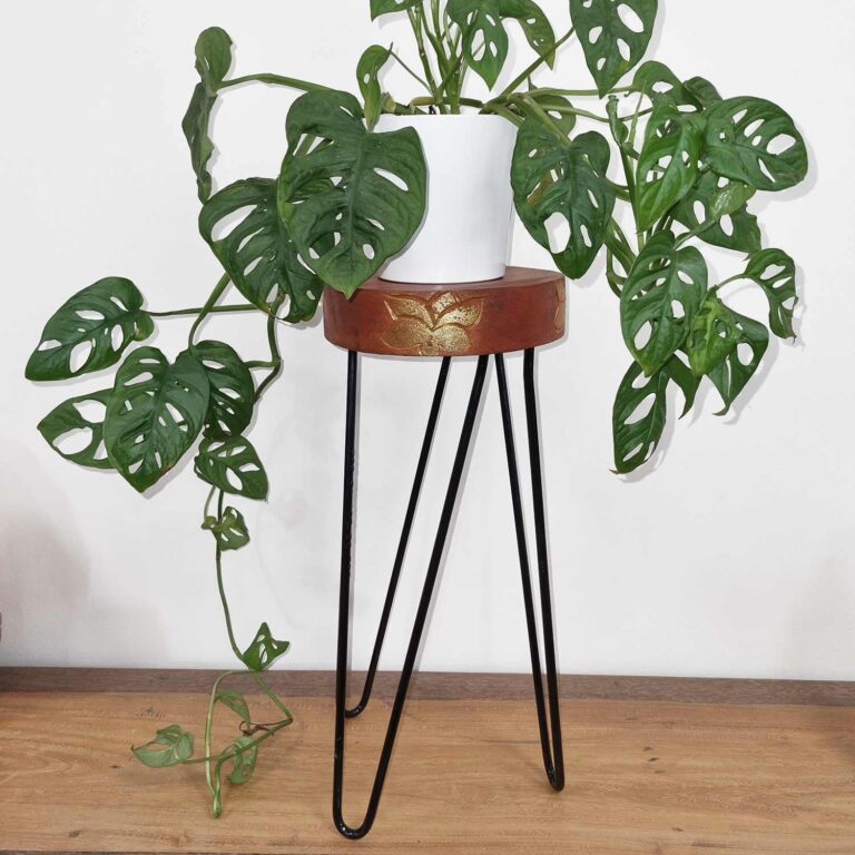 Albasia-Wood-Plant-Stand-Terracotta-black-detail