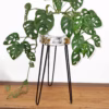 Support à Plantes en Bois Albasia - Blanchi à la chaux – Image 2