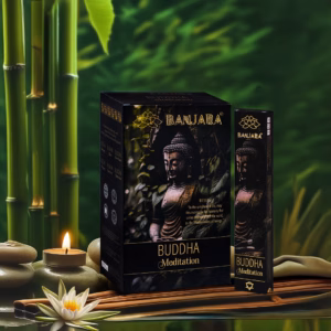 Banjara Buddha - Meditation