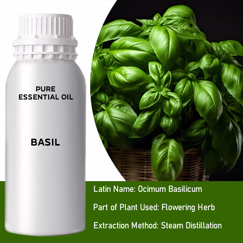 Basil Pure Essential Oil 500ml