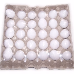 Bombas Huevo Coco