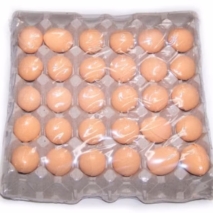 Bath Eggs - Tangerine & Grapefruit 6Pcs