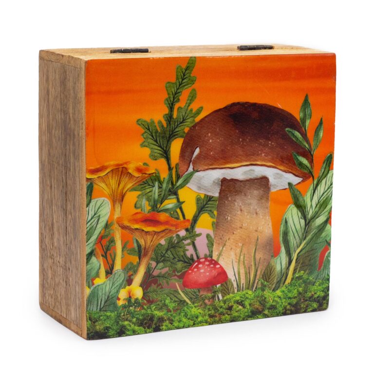 Big-Square-Box-15x17