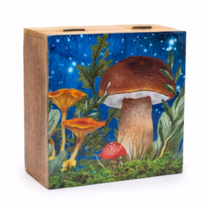 Firkantet Eske / Boks 15x17,5x8cm - Mushroom Design Teal Stor