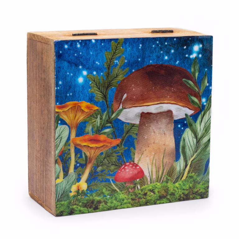 Big-Square-Box-15x17