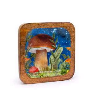 Stort Firkantet Nipsskrin 15x15x2,5 cm - Mushroom Design Teal