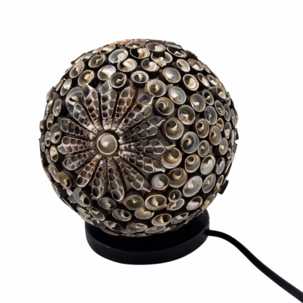 Boho Havskjell Lampe - Chocolate Twist Globe - 15 cm - Bilde 2