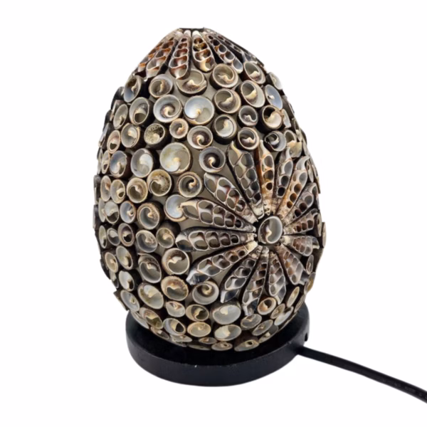 Boho Havskjell Lampe - Chocolate Twist Oval - 15 cm - Bilde 2
