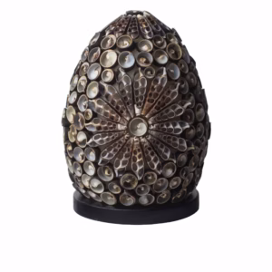 Boho Havskjell Lampe - Chocolate Twist Oval - 15 cm