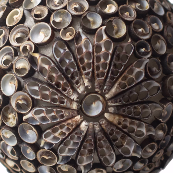 Boho Havskjell Lampe - Chocolate Twist Square - 15 cm - Bilde 5