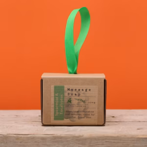 Boxed Single Massage Soaps - Spearmint & Eucalyptus