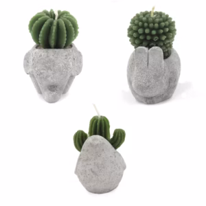 Kaktuslys - Animal Pot (Asst) Display