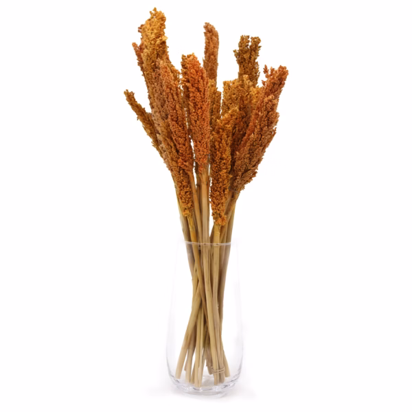 Cantal Grass Bunch - Orange - Image 3