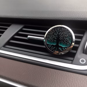 Car Diffuser Kit - Angel Wings - 30mm