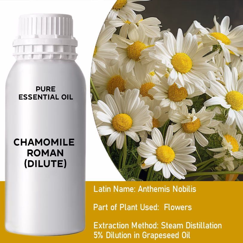 Chamomile (Dilute) Pure Essential Oil 500ml