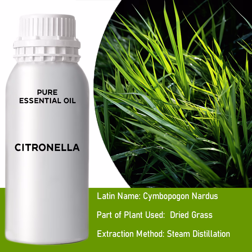 Citronella Pure Essential Oil 500ml