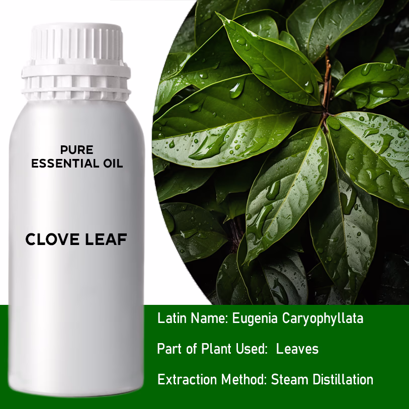 Clove Leaf Pure Essential Oil 500ml