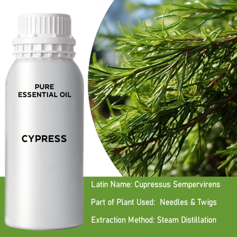 Cypress-Pure-Essential-Oil-500ml