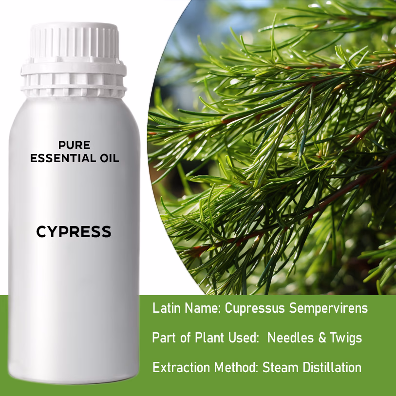 Cypress Pure Essential Oil 500ml