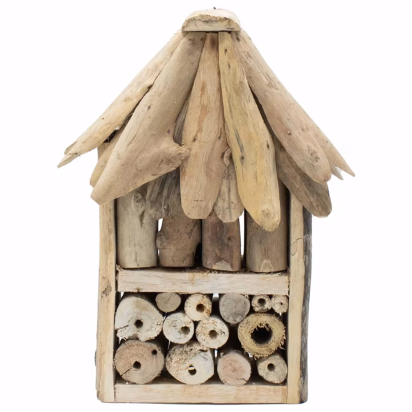 Driftwood Bee &Amp; Insect Double Box