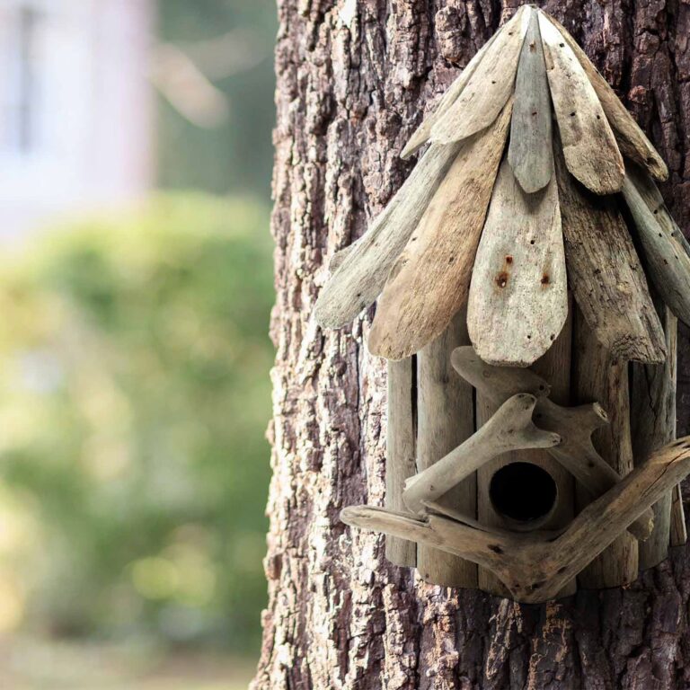 Driftwood-Birdbox-On-Stand