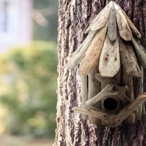 Driftwood Birdbox- Wallhanging
