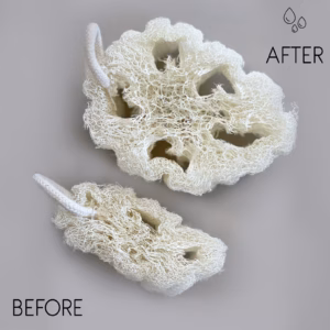 Egyptische Luxe Natuurlijke Loofah met Katoenen Koord - 8 - 12cm