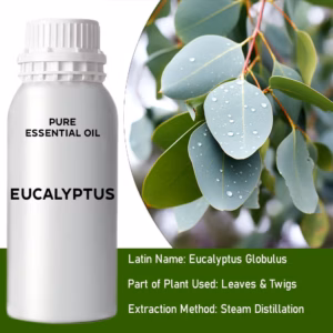 Eukalyptus Ren Eterisk Olja 500ml