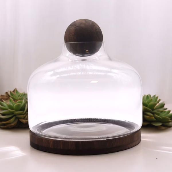 Eks-Stort Kuleformet Terarium På Mørkt Tungtre - 23x23cm - Bilde 3