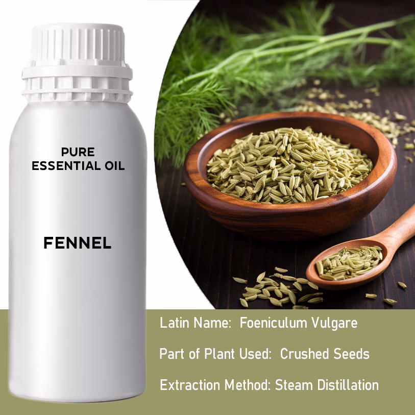 Fennel  Pure Essential Oil 500ml