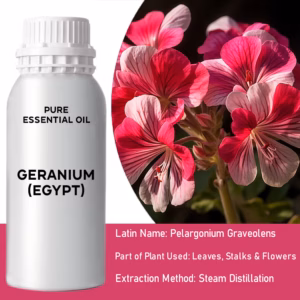 Geranium (Egypt) Pure Essential Oil 500ml
