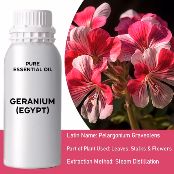 Geranium (Egypten) Ren Æterisk Olie 500ml