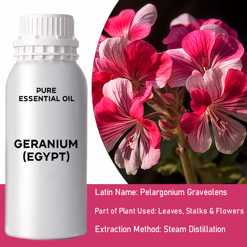 Geranium (Egypt) Pure Essential Oil 500ml