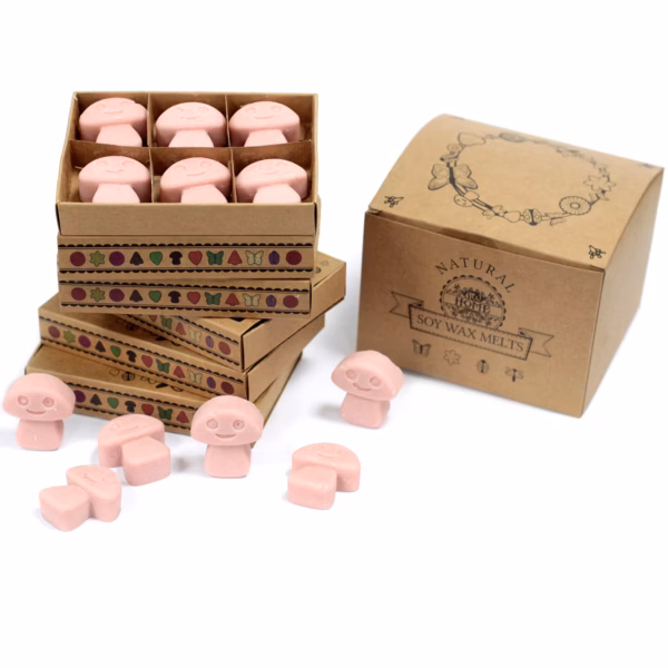 Sojawas Melts Doos 6Stk - Koffie - Afbeelding 4