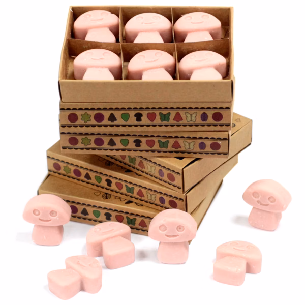 Sojawas Melts Doos 6Stk - Koffie - Afbeelding 5