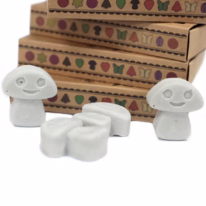 Sojawas Melts Doos 6stk - Donkere Patchoeli