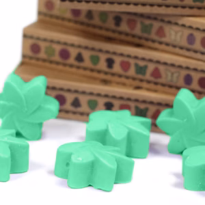 Boîte de 6 Fondants en Cire Soja - Jardin Caché