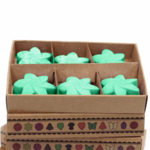 Boîte de 6 Fondants en Cire Soja - Jardin Caché