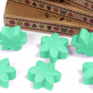 Boîte de 6 Fondants en Cire Soja - Jardin Caché