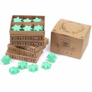 Boîte de 6 Fondants en Cire Soja - Jardin Caché